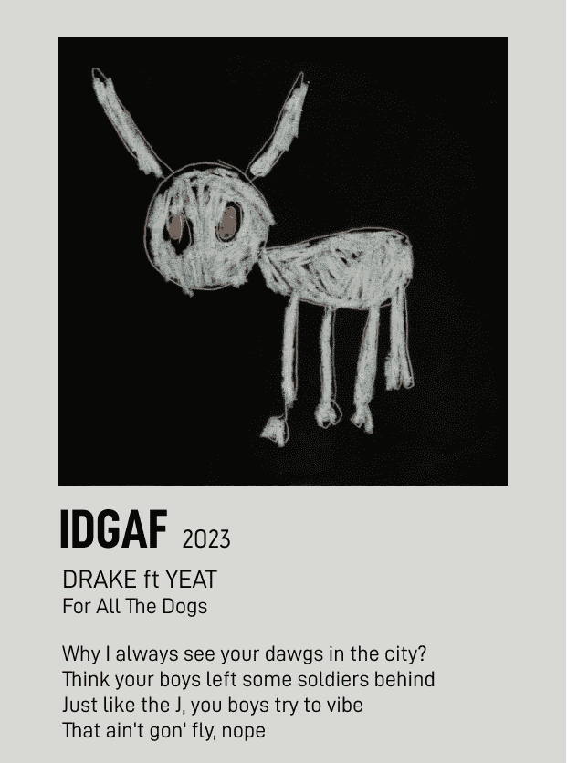 IDGAF Polaroid